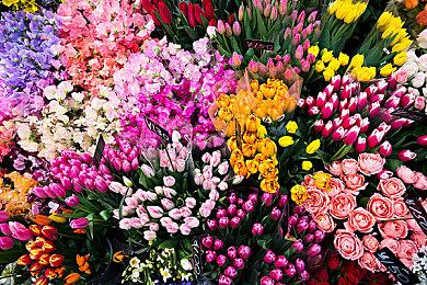 呆呆兽更精致了！ 《无限机兵》更新主角物理表现与更高难度